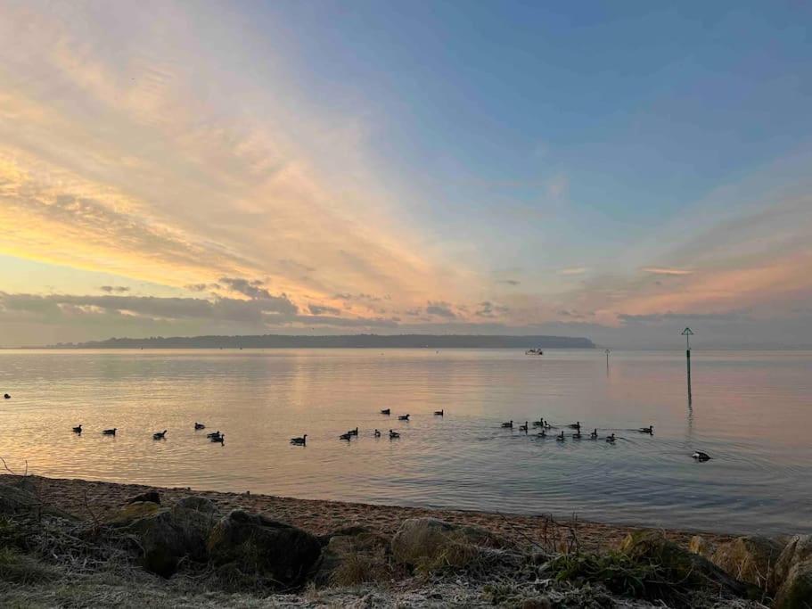 The Nook - Cosy Coastal Retreat Near Sandbanks プール エクステリア 写真